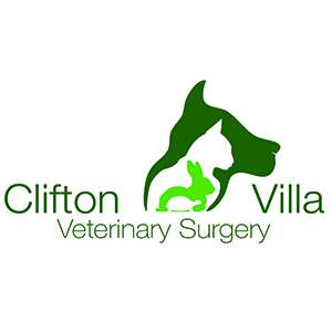 Clifton Villa Veterinary Surgery photo